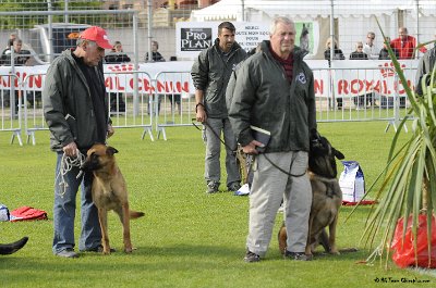 Remise des Prix 105.JPG - CHIENPLUS.COM